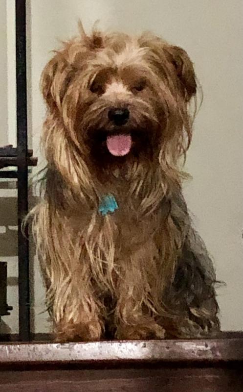 luzcas1106 uploaded   1 year/s ago