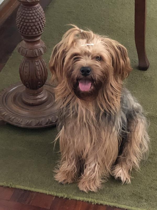 luzcas1106 uploaded   1 year/s ago