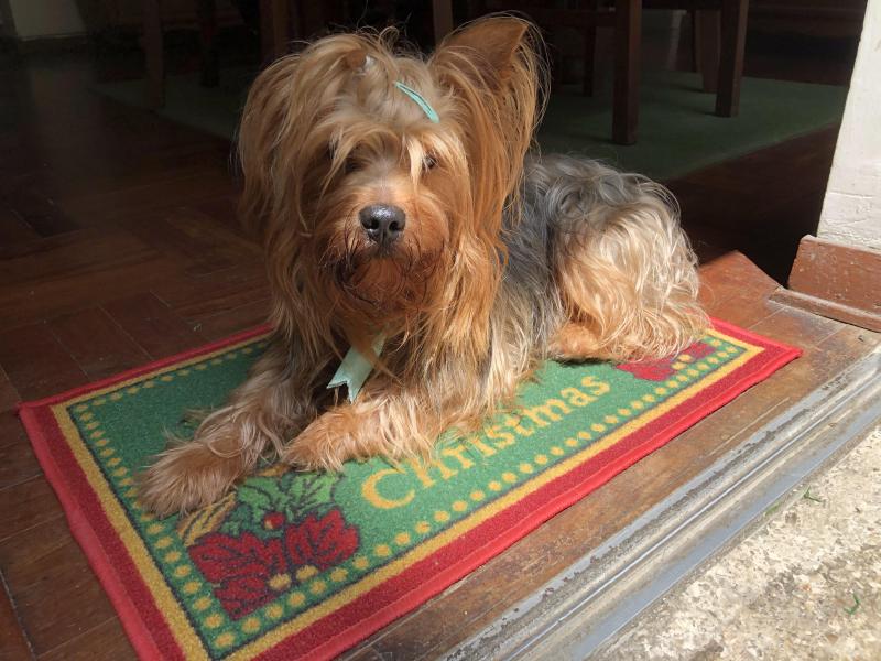 luzcas1106 uploaded   1 year/s ago