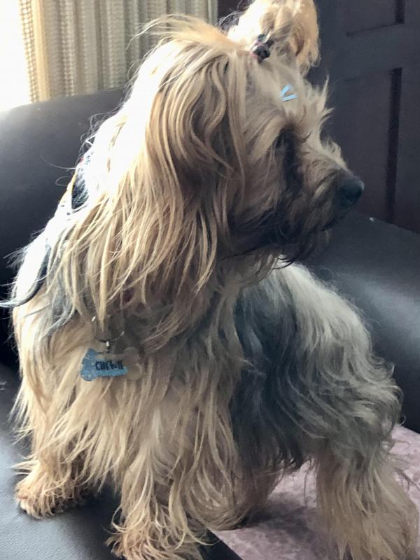 luzcas1106 uploaded   192  day/s  ago