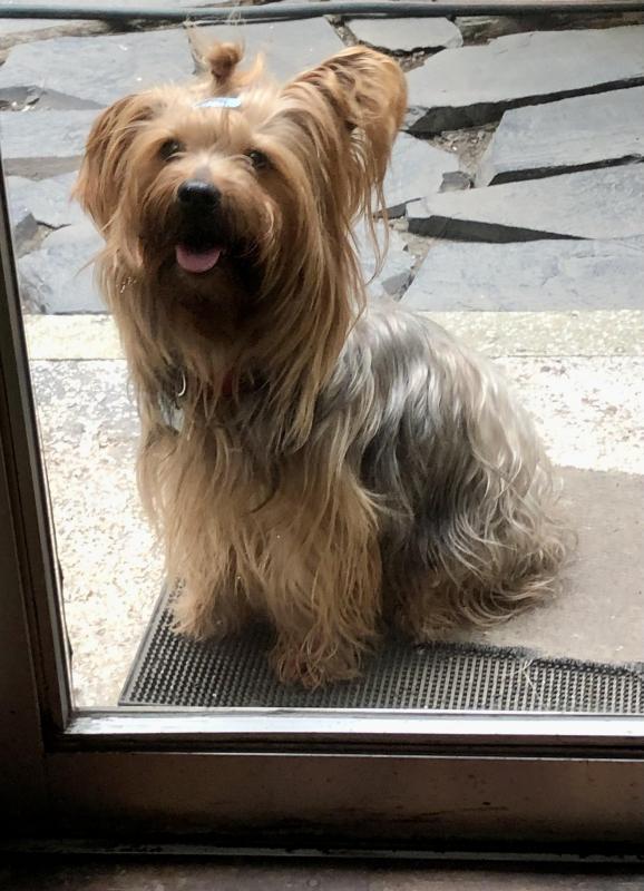 luzcas1106 uploaded   186  day/s  ago