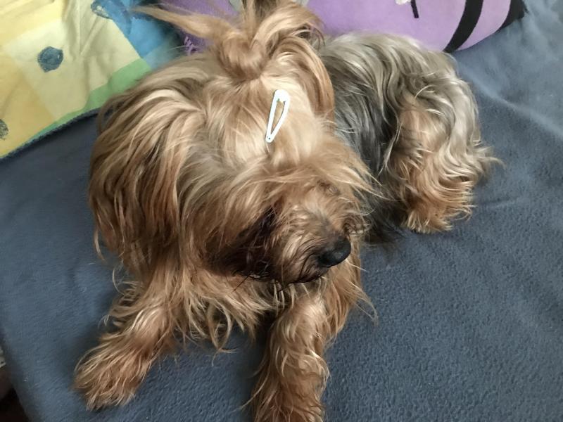 luzcas1106 uploaded   198  day/s  ago