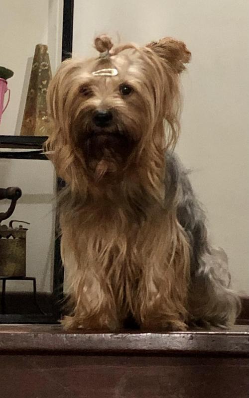 luzcas1106 uploaded   1 year/s ago