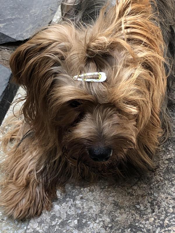 luzcas1106 uploaded   1 year/s ago