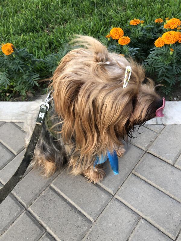 luzcas1106 uploaded   1 year/s ago