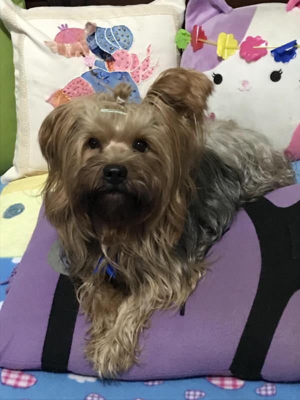 luzcas1106 uploaded   346  day/s  ago