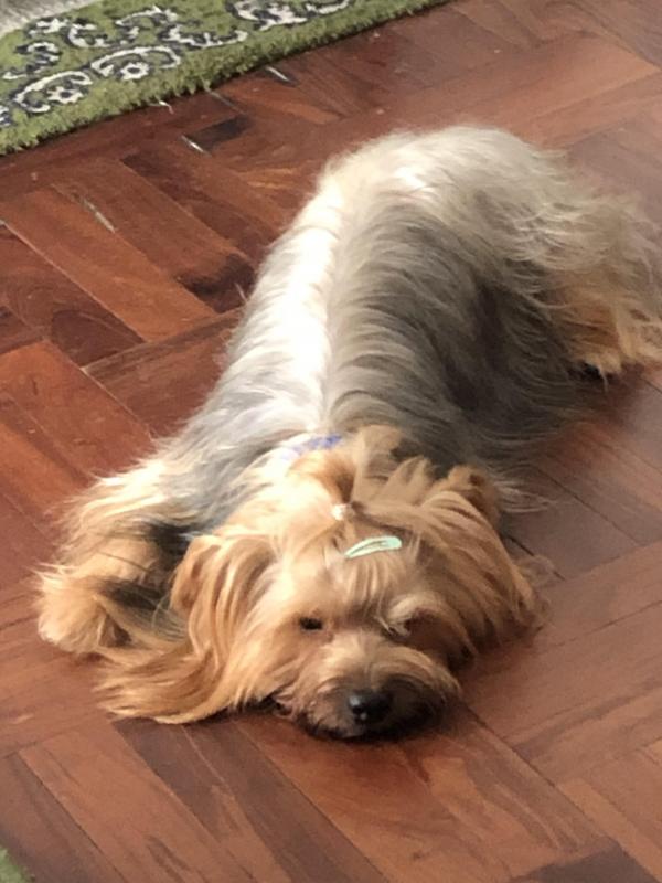 luzcas1106 uploaded   355  day/s  ago