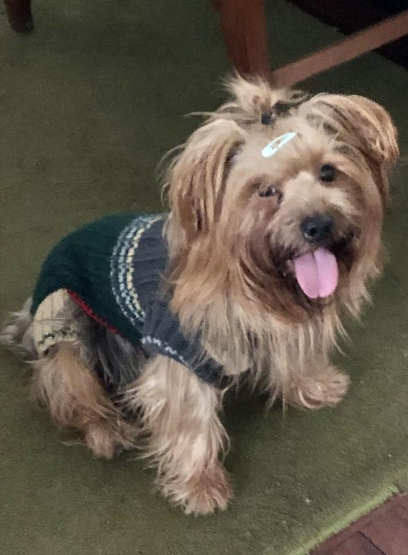 luzcas1106 uploaded   314  day/s  ago