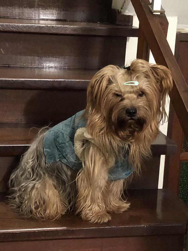 luzcas1106 uploaded   254  day/s  ago