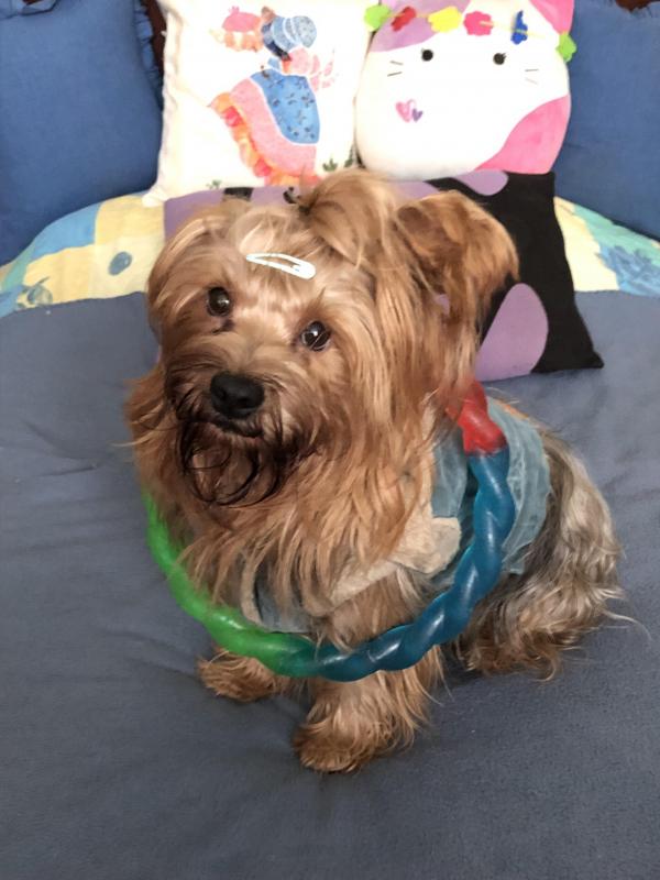 luzcas1106 uploaded   328  day/s  ago