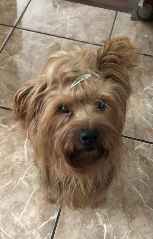 luzcas1106 uploaded   282  day/s  ago