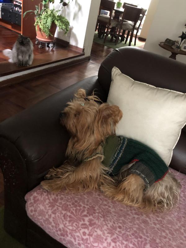 luzcas1106 uploaded   300  day/s  ago