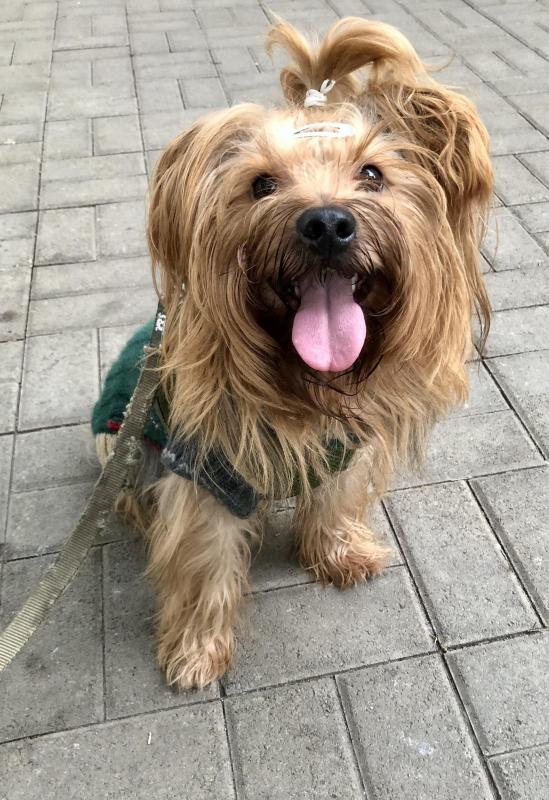 luzcas1106 uploaded   279  day/s  ago