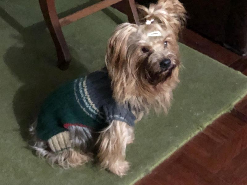 luzcas1106 uploaded   273  day/s  ago