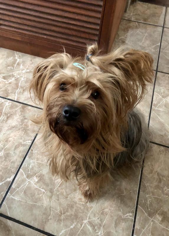 luzcas1106 uploaded   249  day/s  ago