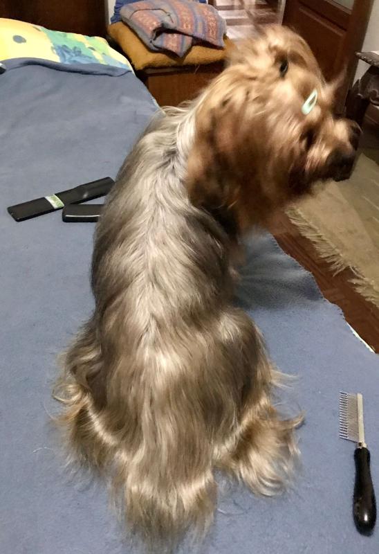 luzcas1106 uploaded   264  day/s  ago