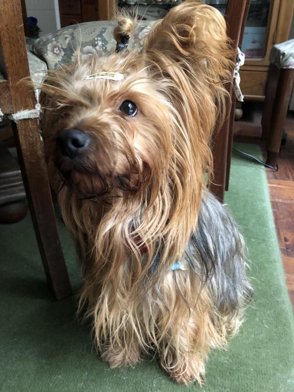 luzcas1106 uploaded   215  day/s  ago