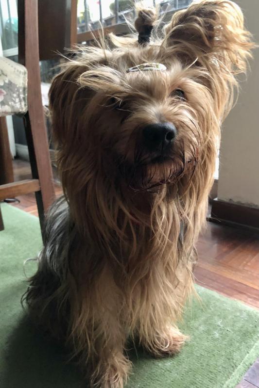 luzcas1106 uploaded   214  day/s  ago