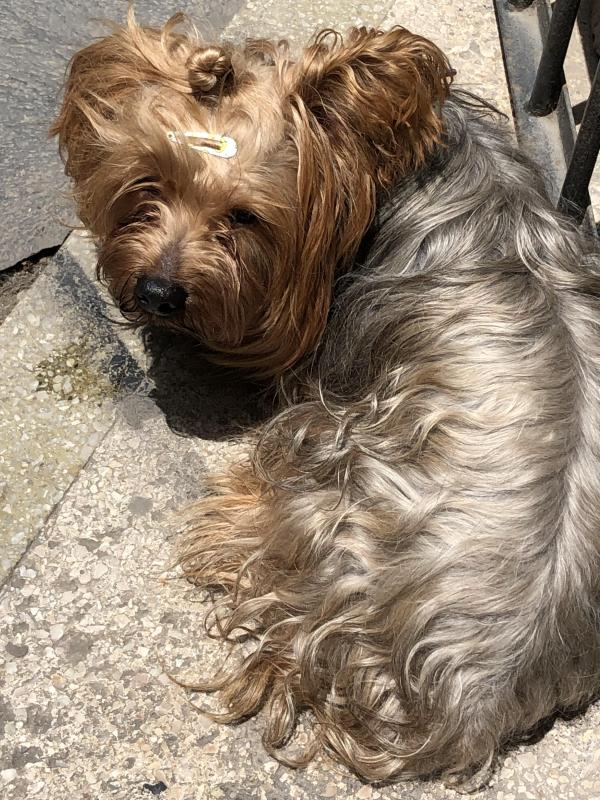 luzcas1106 uploaded   206  day/s  ago