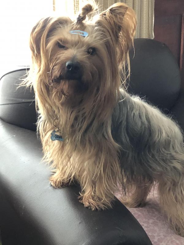 luzcas1106 uploaded   192  day/s  ago