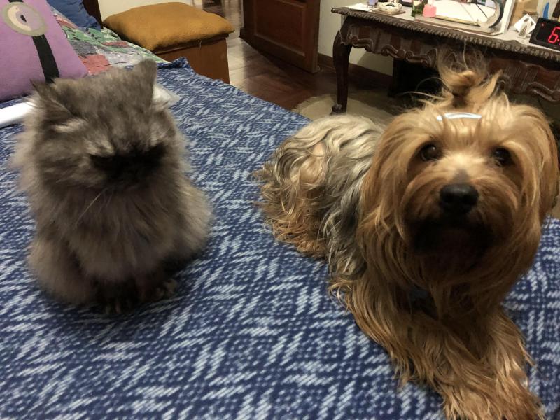 luzcas1106 uploaded   186  day/s  ago