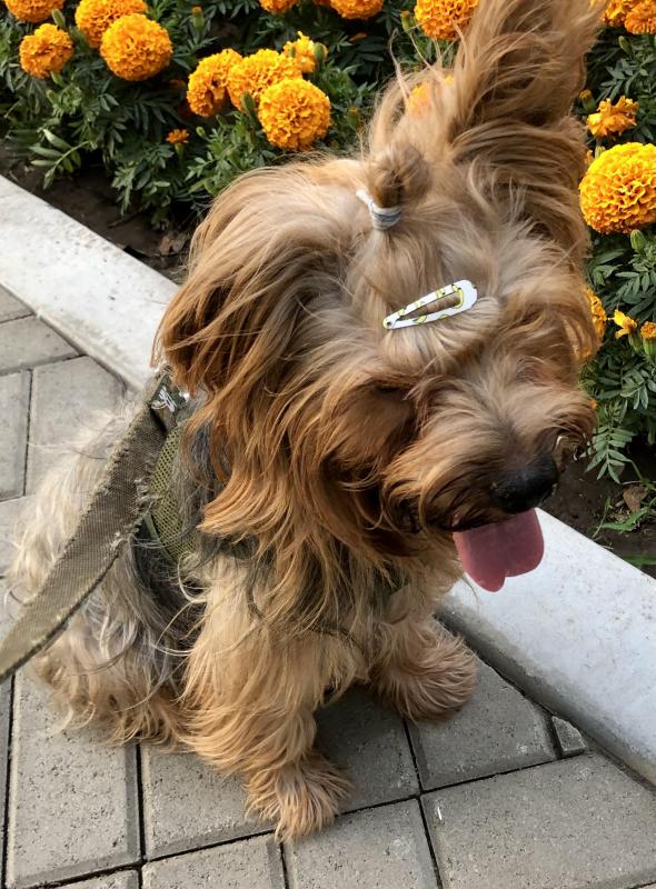 luzcas1106 uploaded   1 year/s ago