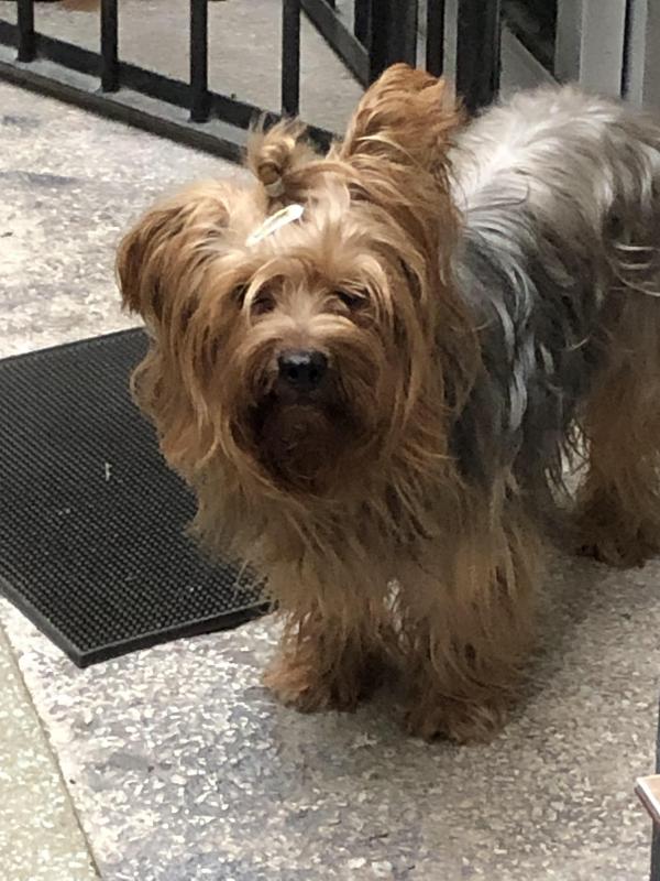 luzcas1106 uploaded   1 year/s ago