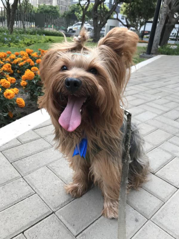 luzcas1106 uploaded   346  day/s  ago