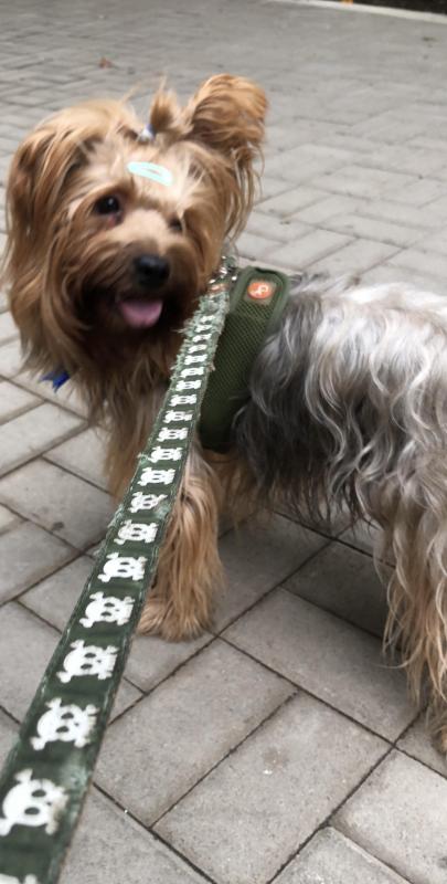 luzcas1106 uploaded   343  day/s  ago