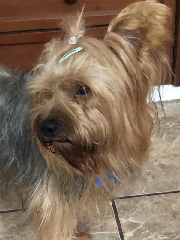 luzcas1106 uploaded   355  day/s  ago