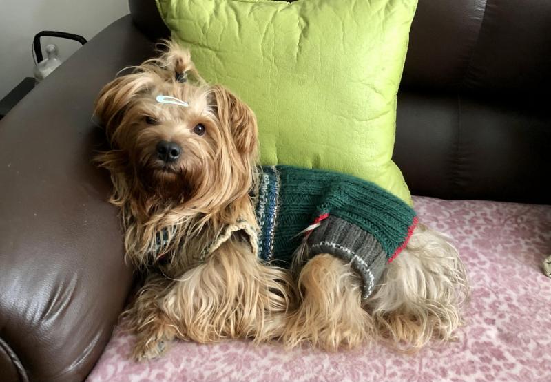 luzcas1106 uploaded   314  day/s  ago