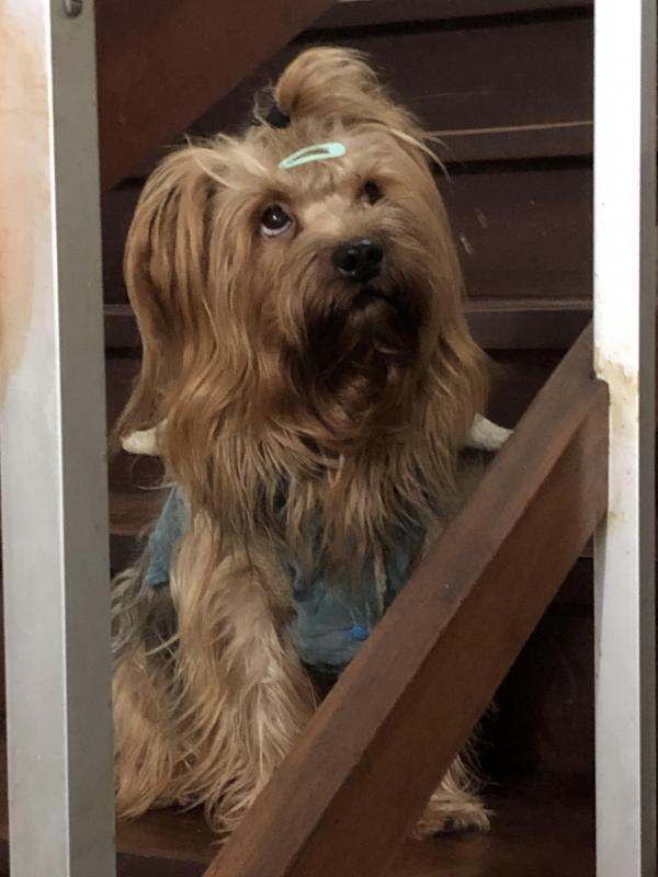 luzcas1106 uploaded   331  day/s  ago