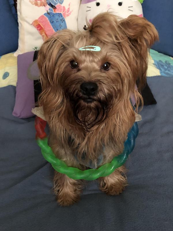 luzcas1106 uploaded   328  day/s  ago