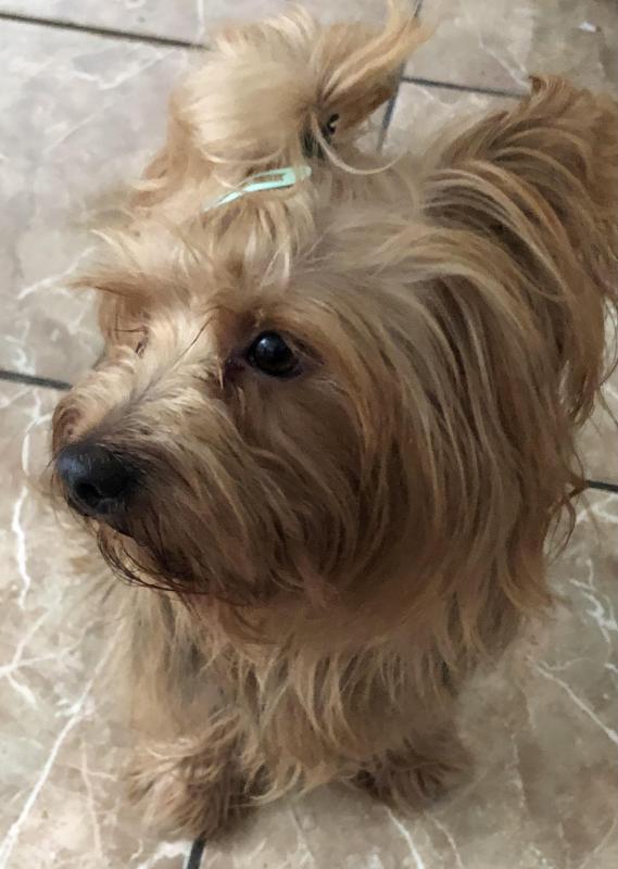 luzcas1106 uploaded   282  day/s  ago