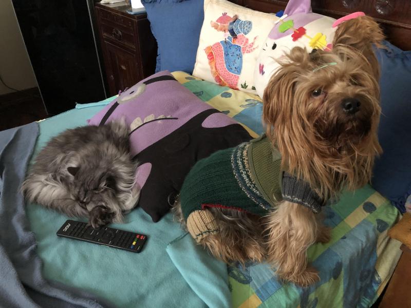 luzcas1106 uploaded   300  day/s  ago