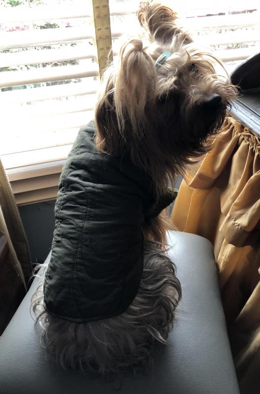 luzcas1106 uploaded   273  day/s  ago