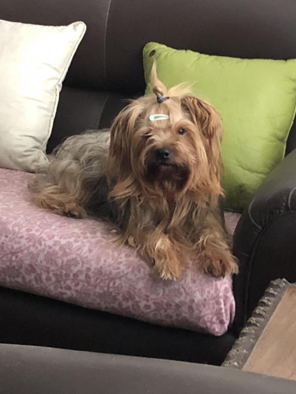 luzcas1106 uploaded   249  day/s  ago