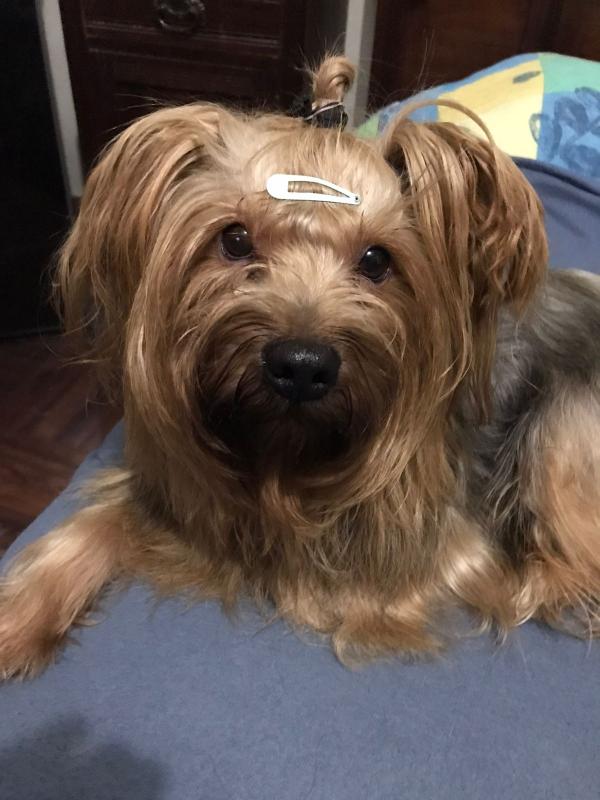 luzcas1106 uploaded   264  day/s  ago