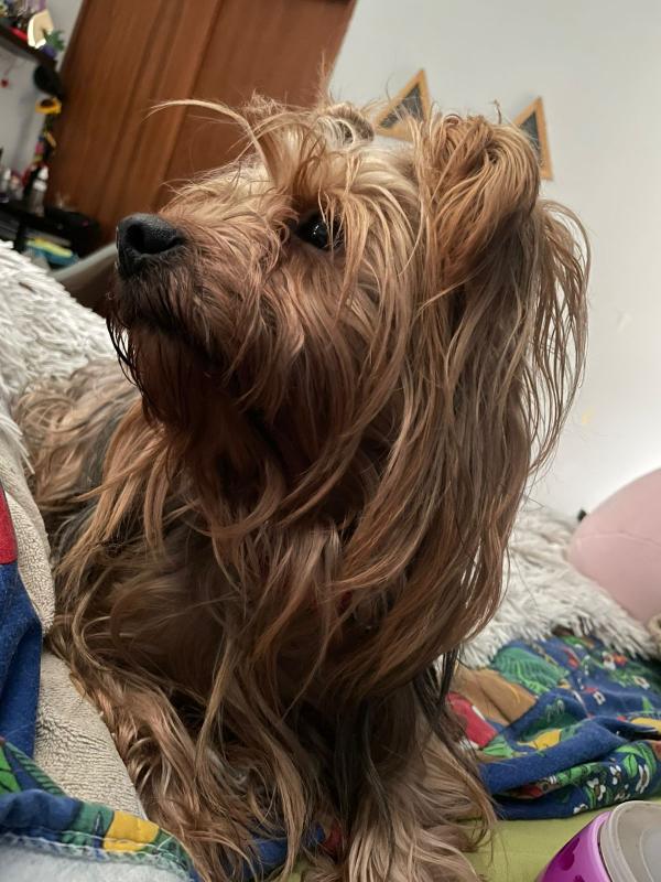 luzcas1106 uploaded   214  day/s  ago