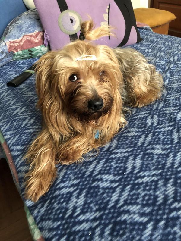 luzcas1106 uploaded   206  day/s  ago