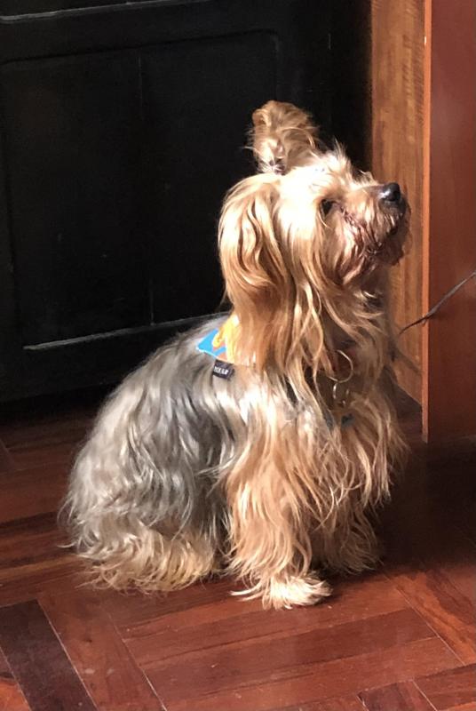 luzcas1106 uploaded   192  day/s  ago