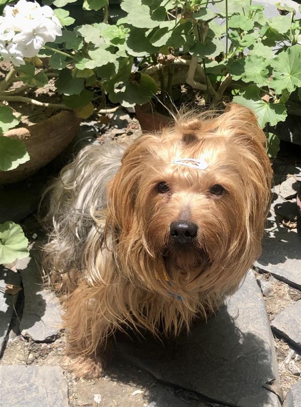 luzcas1106 uploaded   186  day/s  ago