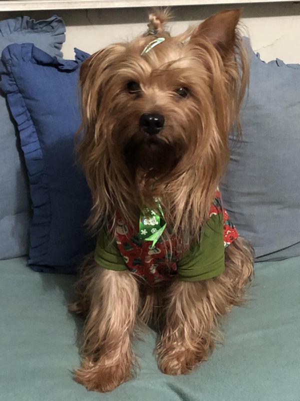 luzcas1106 uploaded   1 year/s ago