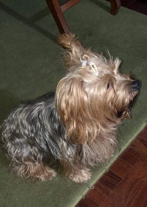 luzcas1106 uploaded   1 year/s ago