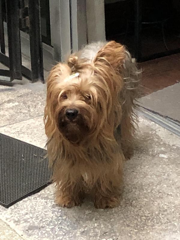 luzcas1106 uploaded   1 year/s ago