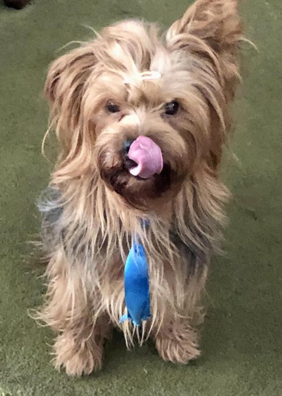 luzcas1106 uploaded   1 year/s ago