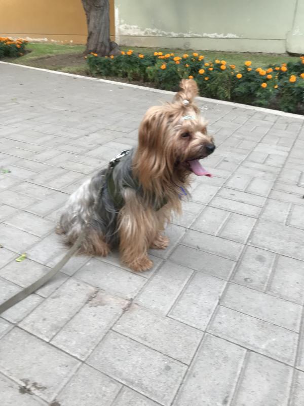 luzcas1106 uploaded   346  day/s  ago