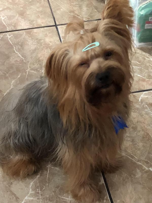 luzcas1106 uploaded   355  day/s  ago