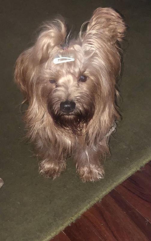 luzcas1106 uploaded   314  day/s  ago