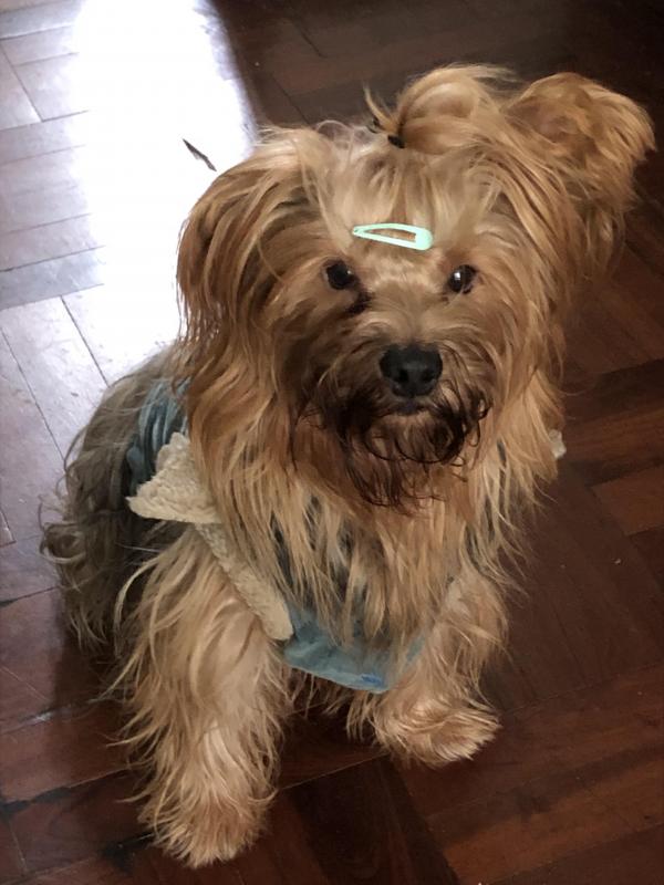 luzcas1106 uploaded   331  day/s  ago